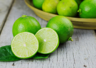 Citrus Patrimonial impulsa inversión inmobiliaria que transforma la agroindustria en México