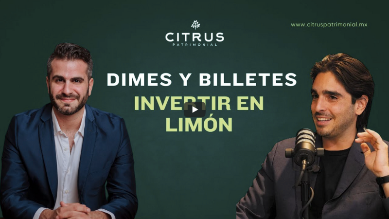 07 Cómo Ganar Dinero con Limones en México : Moris Dieck & Rodrigo Castilla