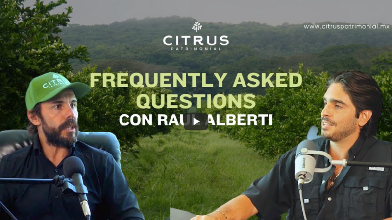 08 Episodio 8 | FAQs con Raul Alberti