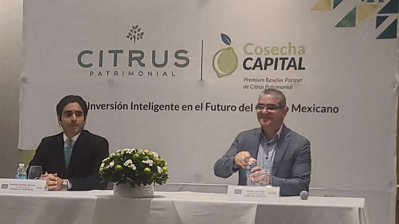 13 Jugo financiero del limón