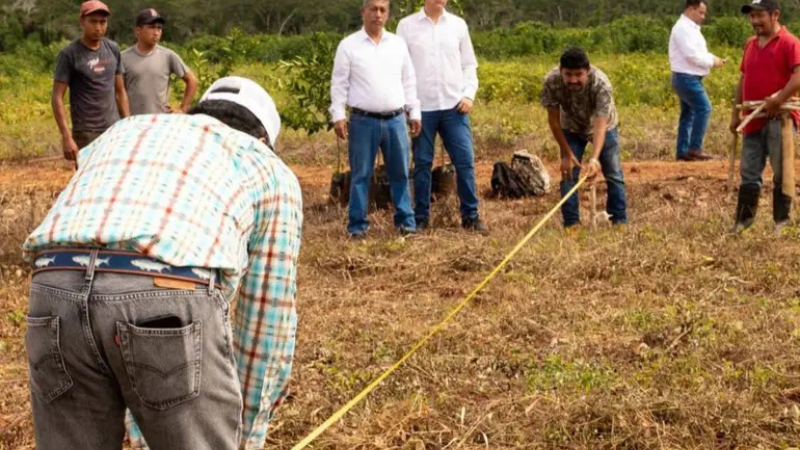 16 Citrus Patrimonial anuncia 700 millones para Yucatán; supera los 1,200 millones comprometidos en la Península