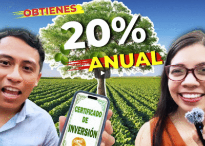 Invertimos en el CAMPO en Yucatán y… RETIRO seguro ! – Asi lo hicimos: