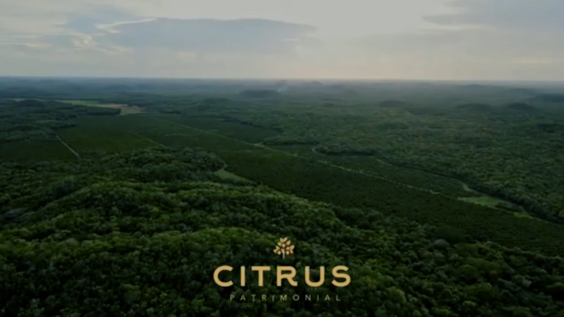 24 Webinar Citrus Patrimonial – Septiembre